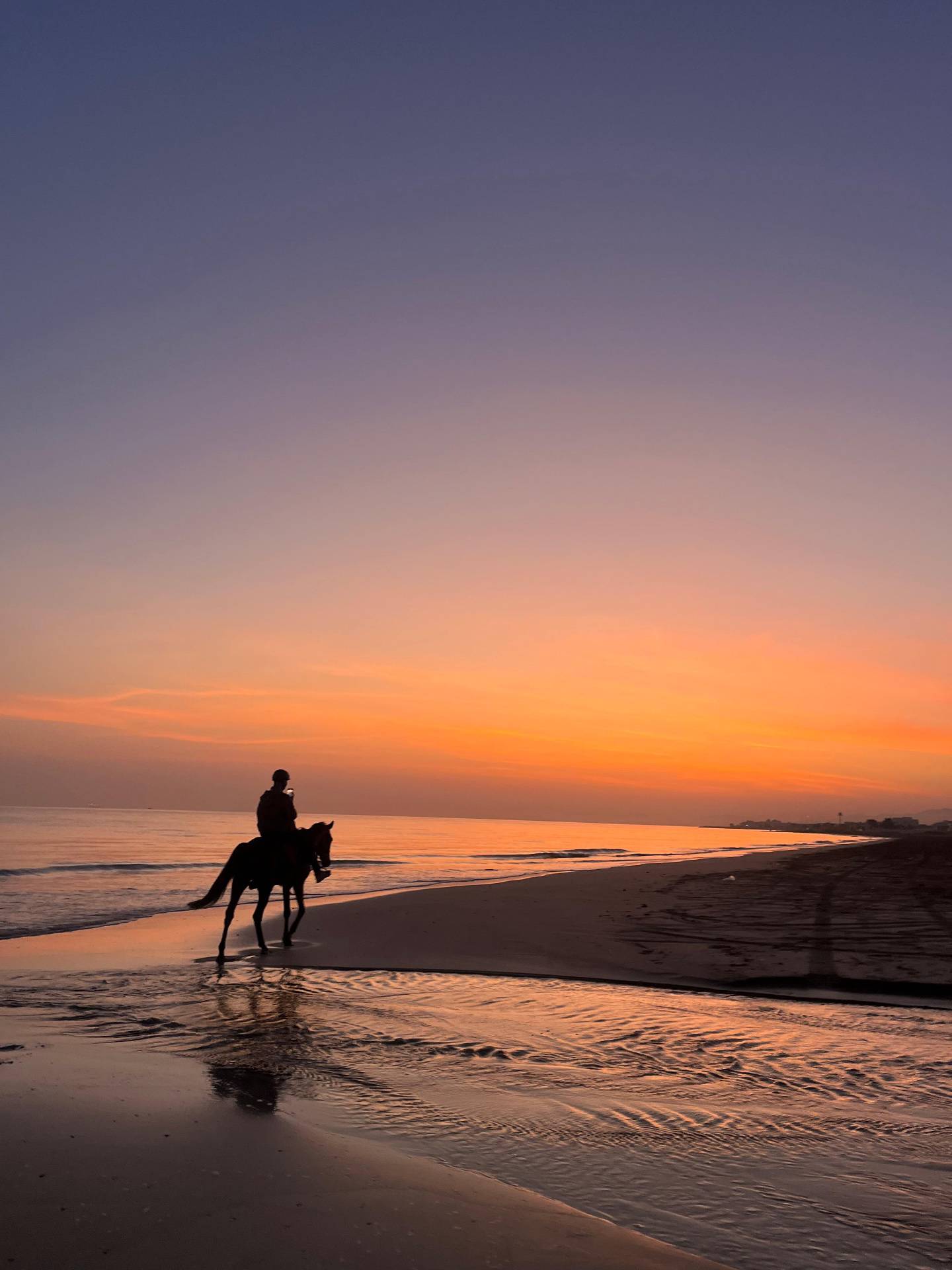 Main tour image for Horse riding on the beach 🌅🏇🏼