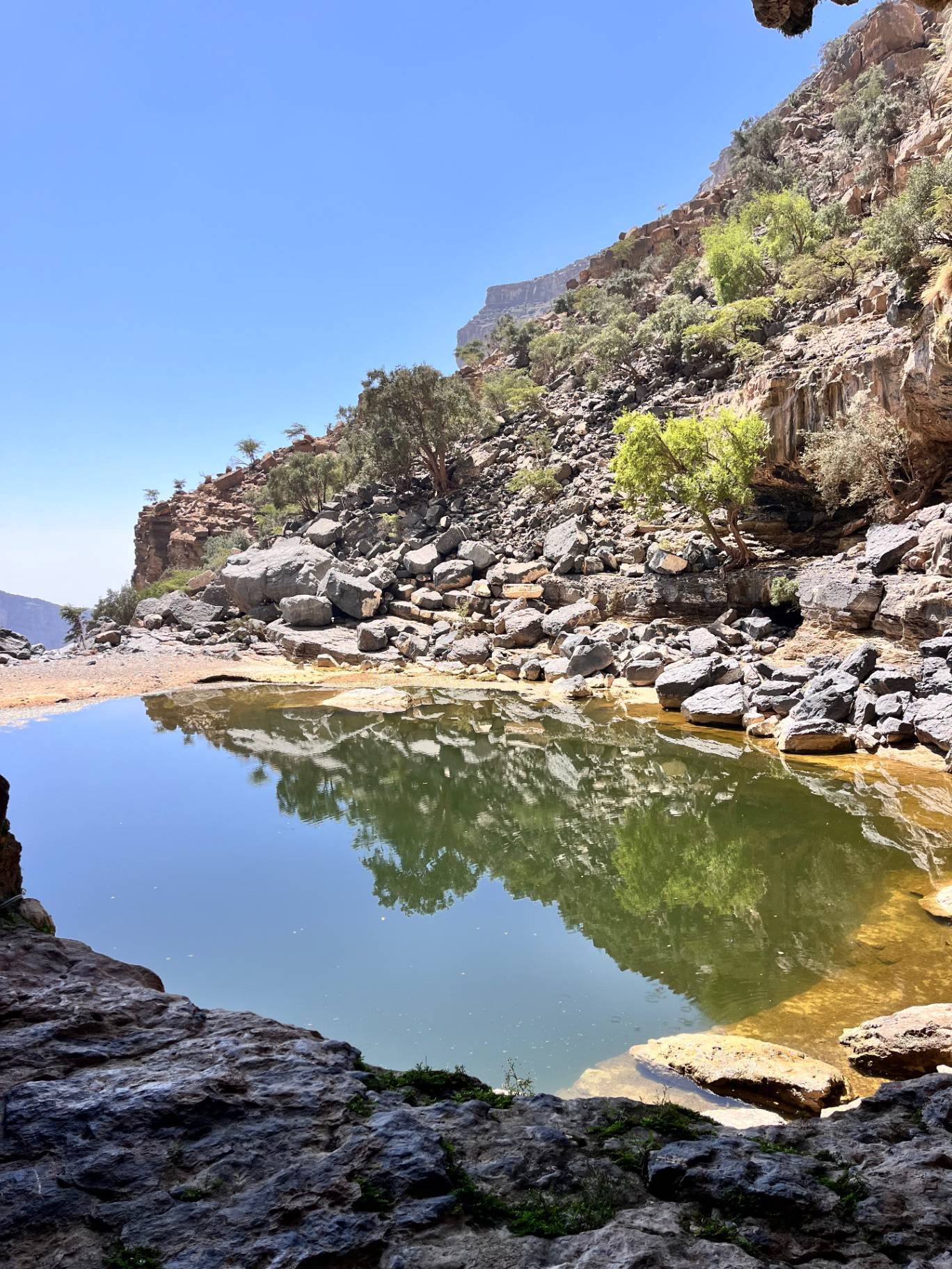 Main tour image for Balcony walking (W6)