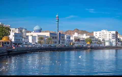 Main tour image for Muscat City Tour
