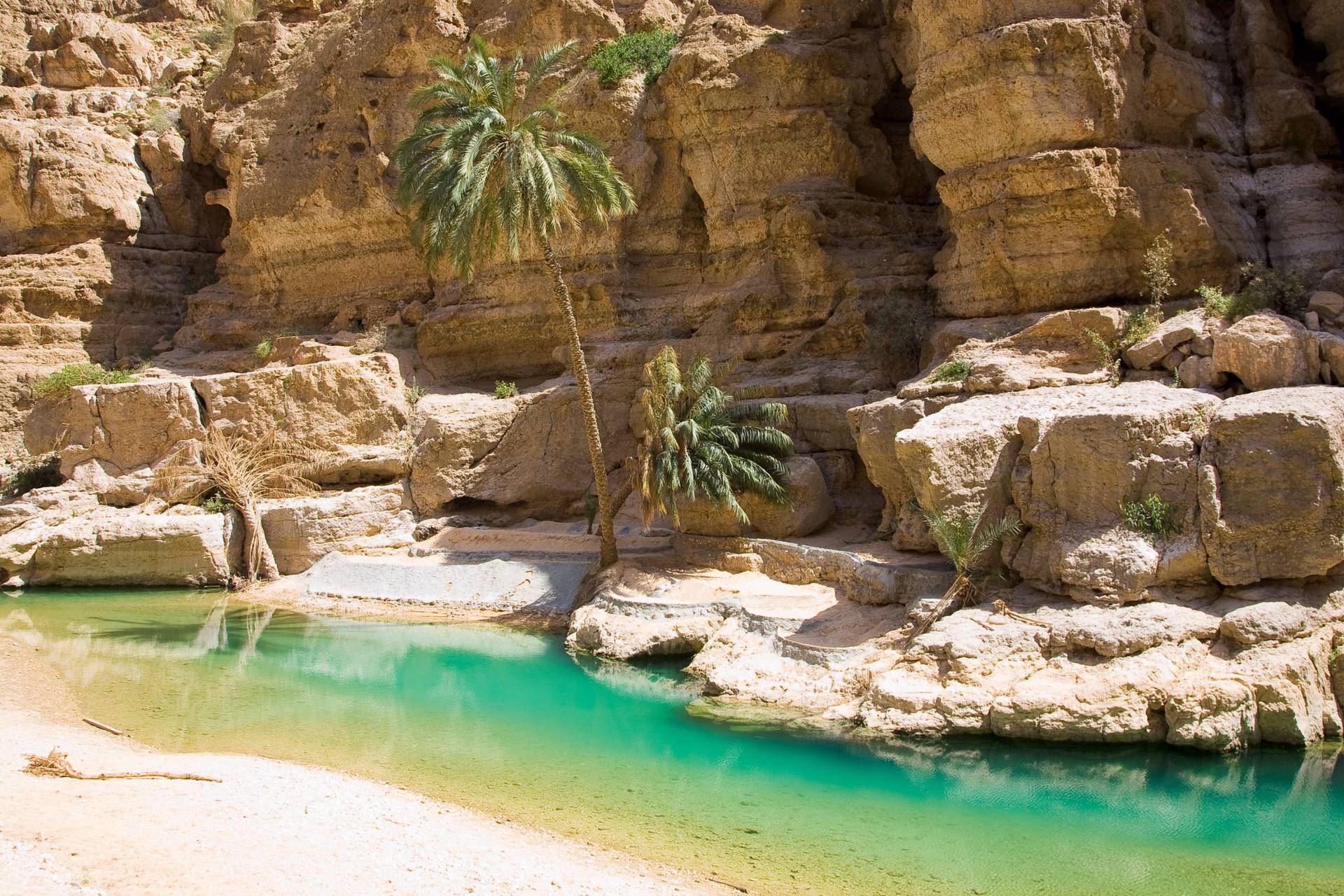 Main tour image for Snake Canyon Canyoneering