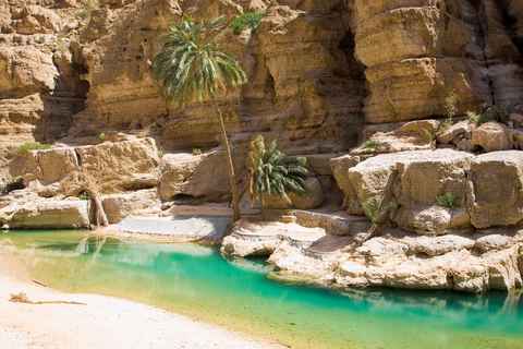 Main tour image for Snake Canyon Canyoneering