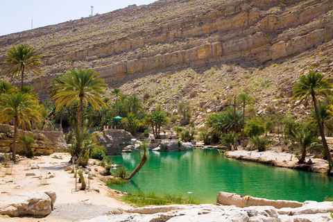 Main tour image for Dolphin Watching in Muscat
