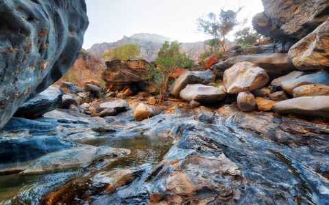 Main tour image for Wadi Bani Khalid Swimming Trip