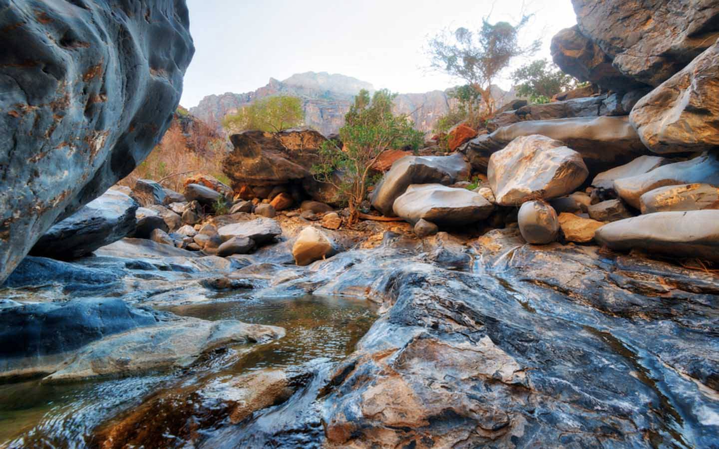 Photo of Khareef Dhofar