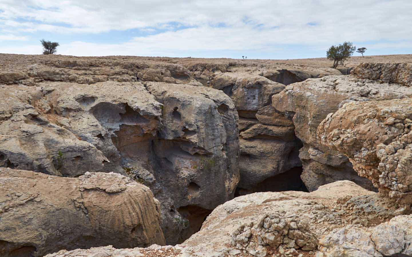 Photo of Noora, a local guide